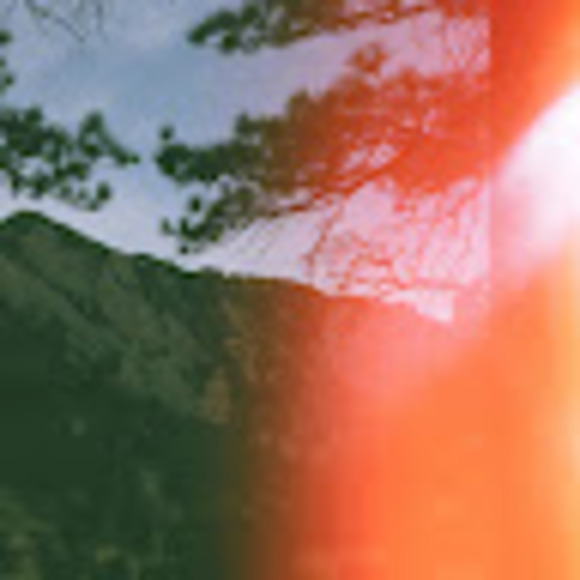 Profile Picture of Valeriia Yakovleva (@valeriia_y) on Poshmark