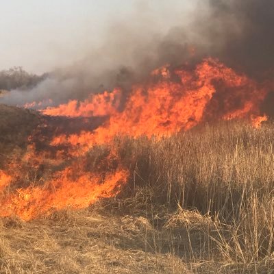 Profile Picture of Mark Sobota (@MarkSobota2) on Twitter