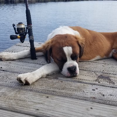 Profile Picture of Monte Murray (@Autobodymonte) on Twitter