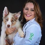 Profile Picture of Dra. Adriana Kaufmann Andrade (@adrianakaufmann.vet) on Instagram