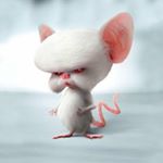 Profile Picture of david slavens (@slavens.david) on Instagram