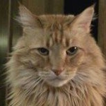 Profile Picture of Roberta Pigg (@piggroberta) on Instagram