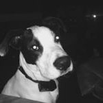 Profile Picture of Dylan Sprague (@dilly.spamzz) on Instagram