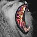 Profile Picture of Sam Englund (@samenglund) on Pinterest