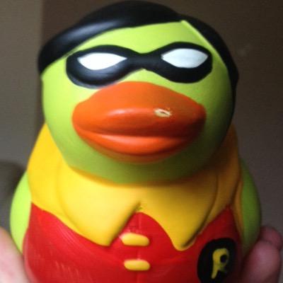 Profile Picture of Robin The Duck (@RobinTheDuck) on Twitter