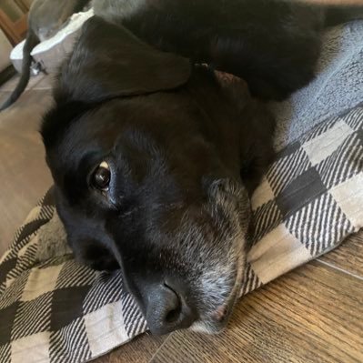 Profile Picture of . (@JacobBagwell14) on Twitter