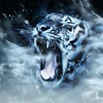 Profile Picture of Sandeep Parikh (@parikhsh) on Instagram