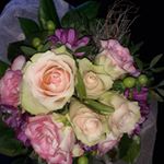 Profile Picture of Ursula Meyer (@uschi_buhn1) on Instagram