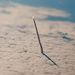 Profile Picture of Andrew Strebel (@andrewstrebel) on Pinterest