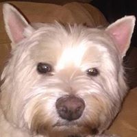 Profile Picture of James Stoddard (@james-stoddard-11) on Quora