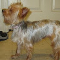 Profile Picture of Shirley Adkins (@shirley-adkins-15) on Quora