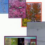 Profile Picture of Lise Ouellette (@liseouellette1) on Instagram