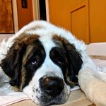 Profile Picture of Lisa Milinkovich Scimeca (@soulseekr368) on Instagram