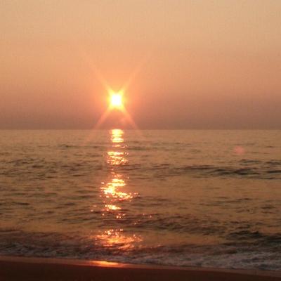 Profile Picture of Lisa Ackerman (@Slackerman71) on Twitter