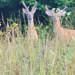 Profile Picture of Greg Loyd Strunk (@greg.loyd.strunk) on Facebook