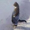 Profile Picture of matthew healy (@@friedricematthew) on Tiktok