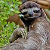 Profile Picture of Michael Flax (@michaelflax7678) on Youtube