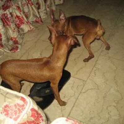 Profile Picture of Jim Inocencio (@JimInocencio) on Twitter