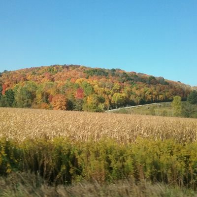 Profile Picture of Kim Wilson (@kaw822) on Twitter