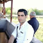 nabel awni - Instagram Profile Picture of nabel awni (@nabelawni) on Instagram