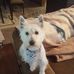 Profile Picture of Sharon Keller (@sharon.keller.5220) on Facebook