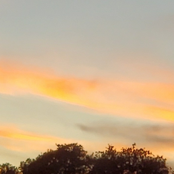 Profile Picture of Mark Mcmahan (@mark0367) on Poshmark