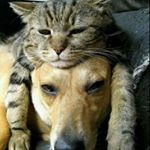 Profile Picture of paula Morinigo💖 (@paula_neumann011) on Instagram