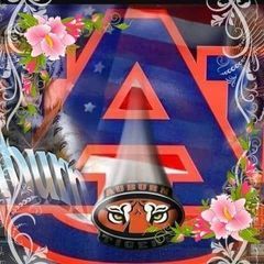 Profile Picture of Harold Sparkman (@harold.sparkman) on Tiktok