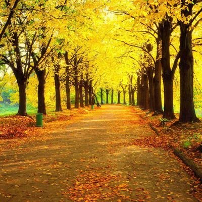 Profile Picture of Las (@Adam23364728) on Twitter