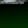 Profile Picture of Robert Misurale (@rob_dog_0818) on Myspace
