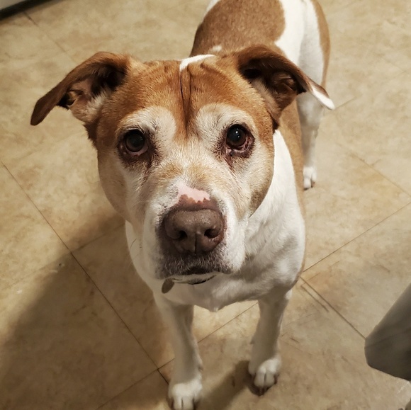 Profile Picture of Holly Weeter (@hweeter) on Poshmark