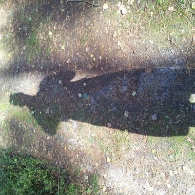Profile Picture of Martin Postma (@martin130176) on Twitter