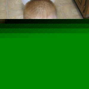 Profile Picture of Brad Keesling (@beerad50) on Myspace