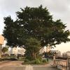 Profile Picture of jackyyip6666 (@jackyyip6868) on Tiktok