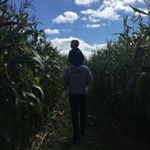 Profile Picture of Joe Stroup II (@joe_stroup2) on Instagram