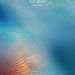 Profile Picture of Matthew Polanco (@matthewpolanco100) on Pinterest