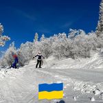 Profile Picture of Erik Alenius (@aleniuserik) on Instagram