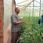 Profile Picture of james njoroge octavious (@njoroge5497) on Instagram