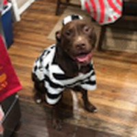 Profile Picture of Damian Rosado (@damian-rosado-8) on Quora