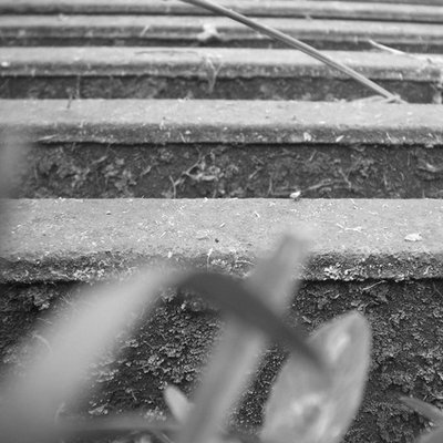 Profile Picture of Chantel Lowe (@CNicoleDesigns) on Twitter