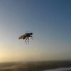 Profile Picture of Paul mayeux (@paulmayeux) on Tiktok