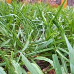 Jeffrey Mills - Instagram Profile Picture of Jeffrey Mills (@_jnr_jeff) on Instagram