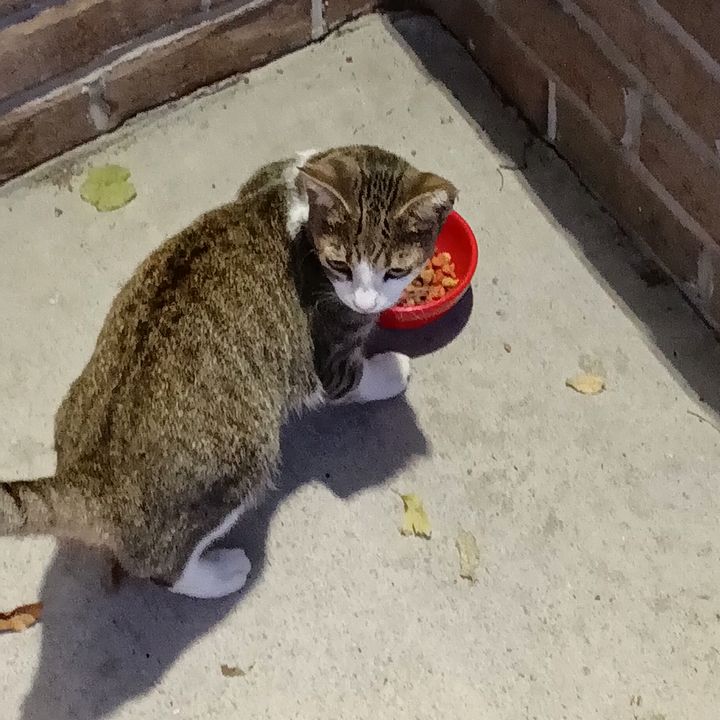 Profile Picture of richardspeelman (@richardspeelman) on Tiktok