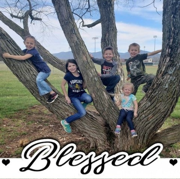 Dawn Veronesi - Poshmark Profile Picture of Dawn Veronesi (@dlv_4) on Poshmark