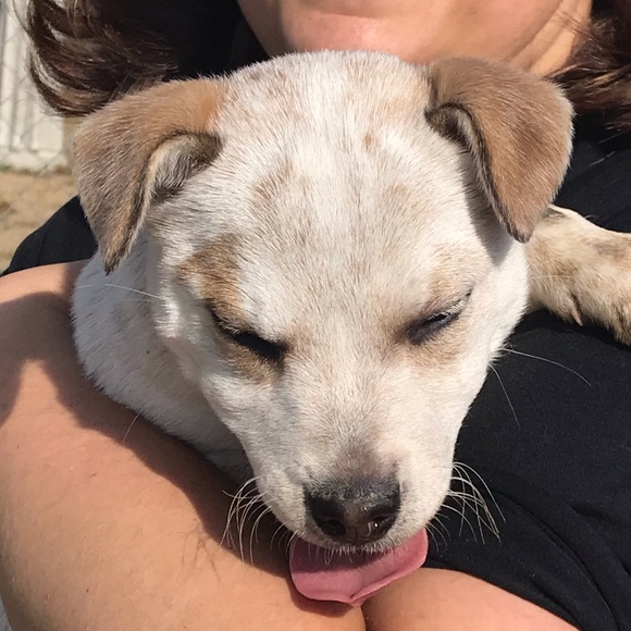 Profile Picture of Christina Jurusik (@sgafan2010) on Poshmark