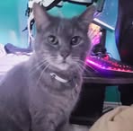 Jeremy Parent - Facebook Profile Picture of Jeremy Parent (@Inferno6356) on Facebook