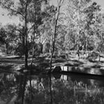 Profile Picture of Robert Forsythe (@forsyther) on Instagram