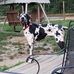 Profile Picture of Carol Lefever (@carol.lefever.52) on Facebook