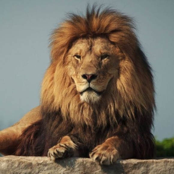 Profile Picture of Kenneth Aker (@dwayneaker17) on Poshmark