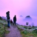 Profile Picture of Casey Waterman (@sewsyposey) on Instagram